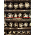 Agriculture PP Woven Fabric Weweed Cloth Cover